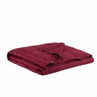 True North by Sleep Philosophy Polyester Down Throw with Red Finish TN50-0484