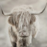 E&E Co. Ltd Canvas - Soft Solo Highland