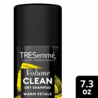 TRESemmé Volumizing Dry Shampoo Perspective: Main