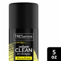 TRESemme® Volumizing Dry Shampoo Perspective: Main