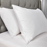 Sealy Cotton Touch Soft Zippered Pillow Protector King Perspective: Main