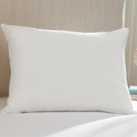AllerEase Ultimate Protection and Comfort Zippered Breathable Pillow Protector - White Perspective: Main