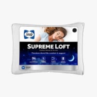 Sealy Jumbo Pillow Perspective: Main
