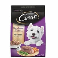 Cesar Filet Mignon Flavor Dry Dog Food
