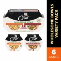 Cesar Variety Wholesome Bowels Wet Dog Food