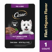 Cesar Filets in Gravy Wet Dog Food Mini-Pouch Filet Mignon Perspective: Main