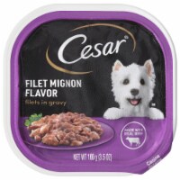 Cesar® Filets in Gravy Filet Mignon Flavor Wet Dog Food Perspective: Main