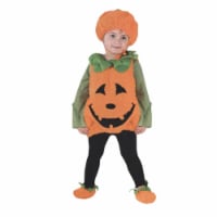 Costumes For All Occasions FW8669TS Pumpkin Cutie Pie Vest 24 Mos