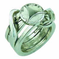 Hanayama Level 5 Ring II Cast Puzzle Perspective: Main