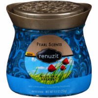 Renuzit Pearl Scents Blue Sky Breeze Perspective: Main