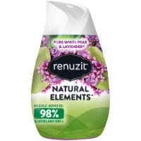 Renuzit Natural Elements Pure White Pear & Lavender Gel Air Freshener Perspective: Main