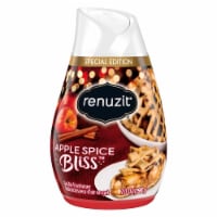 Renuzit® Adjustables Apple Spice Bliss Gel Air Freshener Perspective: Main