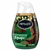 Renuzit® Adjustables Evergreen Magic Gel Air Freshener Perspective: Main