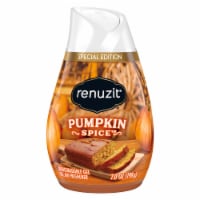 Renuzit® Adjustables Pumpkin Spice Gel Air Freshener Perspective: Main