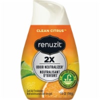 Renuzit® Clean Citrus Pet™ Gel Air Freshener