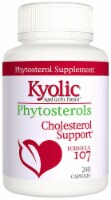 Kyolic Aged Garlic Extract™ Phytosterols Formula 107 Capsules Perspective: Main