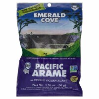 Emerald Cove Pacific Arame Perspective: Main