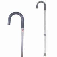 Compass Health Brands Womens Round Handle Cane - Silver Perspective: Main