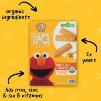 Earth's Best Organic Honey Sticks Snack