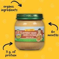 Earth's Best Organic Chicken & Brown Rice Stage 2 Baby Food