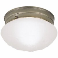 Westinghouse 66604 Single Light Flush Mount Ceiling Fixture- Antique Brass