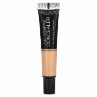 Palladio Full-Coverage Concealer Creme Brulee PCT03 - 0.35 oz (9 ml)