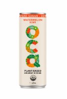 OCA Plant Based  Zero Sugar Watermelon Kiwi Energy Drink