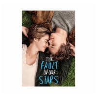 The Fault in Our Stars (2014 - DVD) Perspective: Main