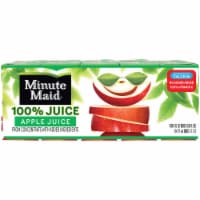 Minute Maid 100% Juice Apple Juice Boxes Perspective: Main
