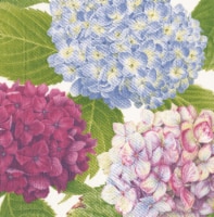 Caspari  Paper Cocktail Napkins 20 Pack - Hydrangea Garden Blue Perspective: Main