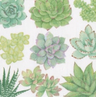 Caspari Succulents Paper Cocktail Napkins Perspective: Main