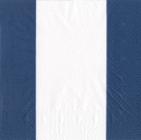 Caspari Navy Bandol Stripe Paper Napkins Perspective: Main