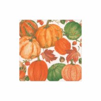 Caspari White Pumpkin Field Napkins Perspective: Main