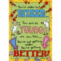Oatmeal Studios Older But Wiser Funny / Humorous Birthday Card Perspective: Main