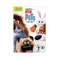 The Secret Life of Pets (2016 - DVD) Perspective: Main