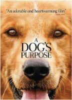 A Dog's Purpose (2017 - DVD) Perspective: Main