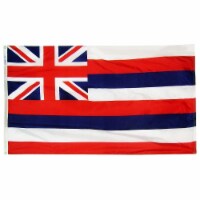 Annin Flagmakers Hawaii State Flag Perspective: Main