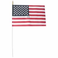 Annin Flagmakers American Hand Flag