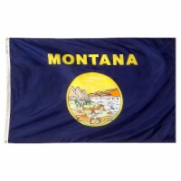 Annin Flagmakers Montana State Flag Perspective: Main