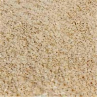Bulk Seeds 100 percent Organic White Hulled Sesame Seeds 25 Lbs - SPu570986
