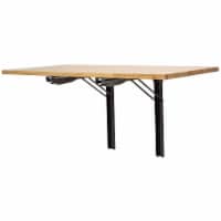 Sportsman Series Wall Mounted Folding Workbench