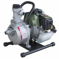 Sportsman Series 1 Inch 2-Cycle Water Transfer Pump With 3/4 inch Garden Hose Adapter
