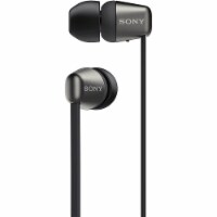 Sony WIC310 Wireless Earbuds Perspective: Main