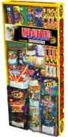 TNT® Undaunted Fireworks - Assortment Perspective: Main