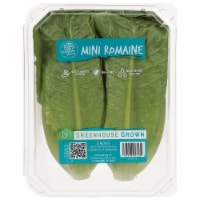 Hydro Mini Romaine Lettuce Heads