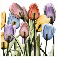 Empire Art Direct TMP-AK024B-2424 Tulip Scape X-Ray II Frameless Free Floating Tempered Glass