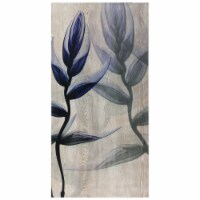 Empire Art Direct FAL-AK572B-3060 Bird of Paradise II Fine Radiographic Photography Hi Defini