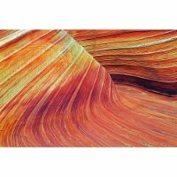 Empire Art Direct TMP-EAD2203-3248 Frameless Free Floating Tempered Glass Art by EAD Art Coop