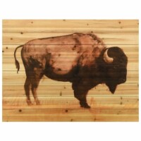 Empire Art Direct ADL-130533-3040 30 x 40 in. Roam II Arte De Legno Digital Print on Solid Wo