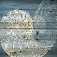 Empire Art Arte De Legno - Coastal Menagerie A
